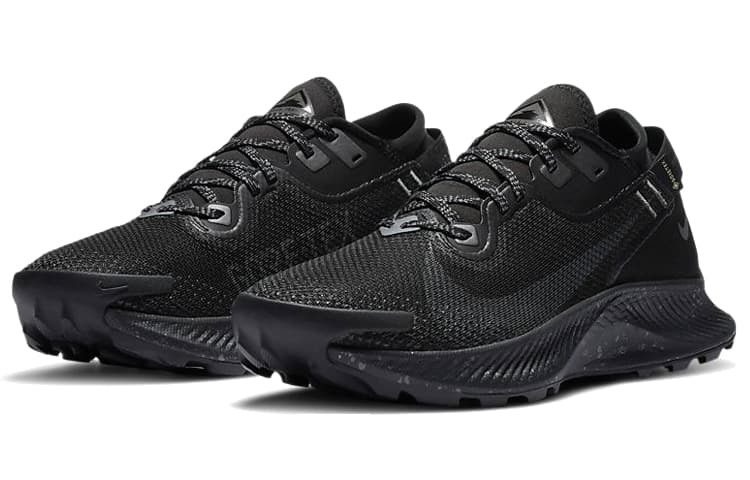 Nike Pegasus Trail 2 Gore Tex Black Metallic Dark Grey Women's 6