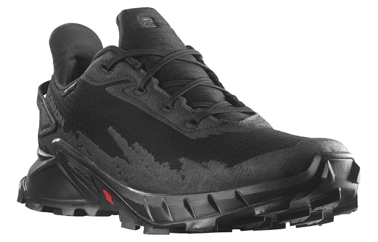 SALOMON Alphacross 4 GORE-TEX 'Black' 5