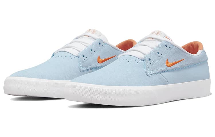Nike Sb Shane Celestine Blue 6