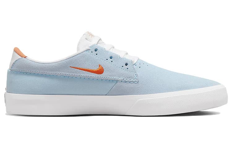 Nike Sb Shane Celestine Blue 3