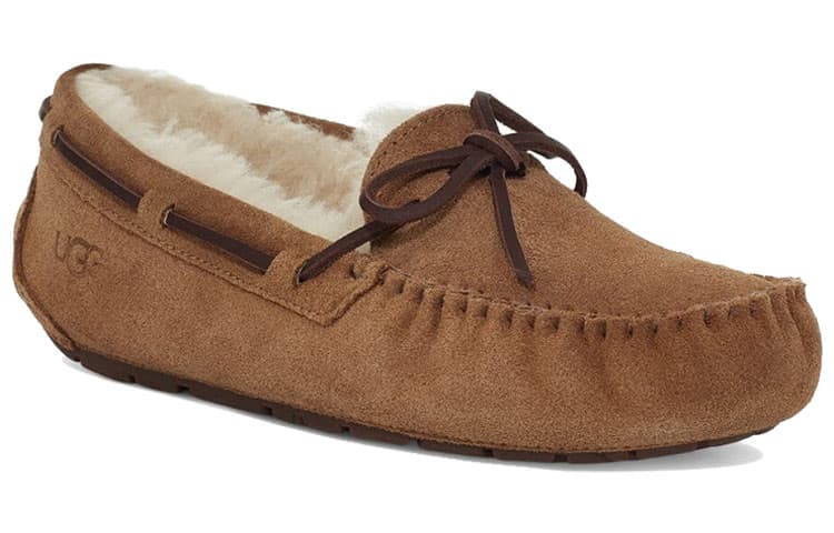 UGG Dakota Slipper Chestnut Women's 6