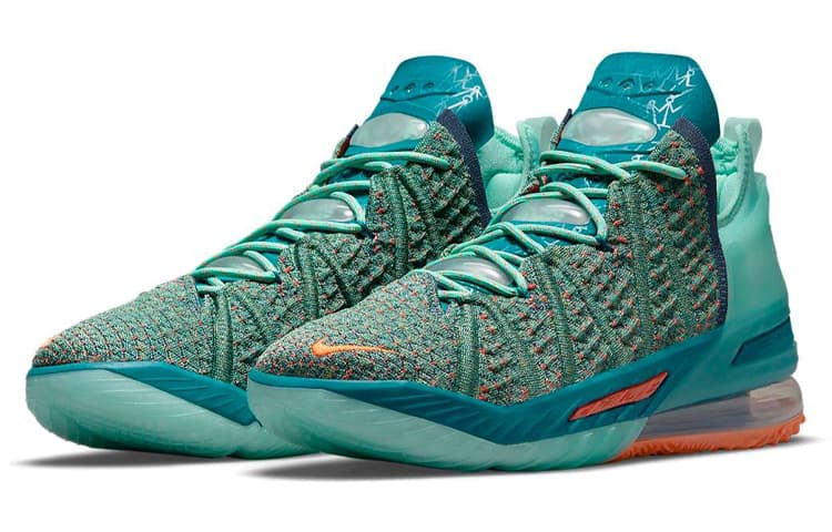 Nike LeBron 18 We Are Family 5
