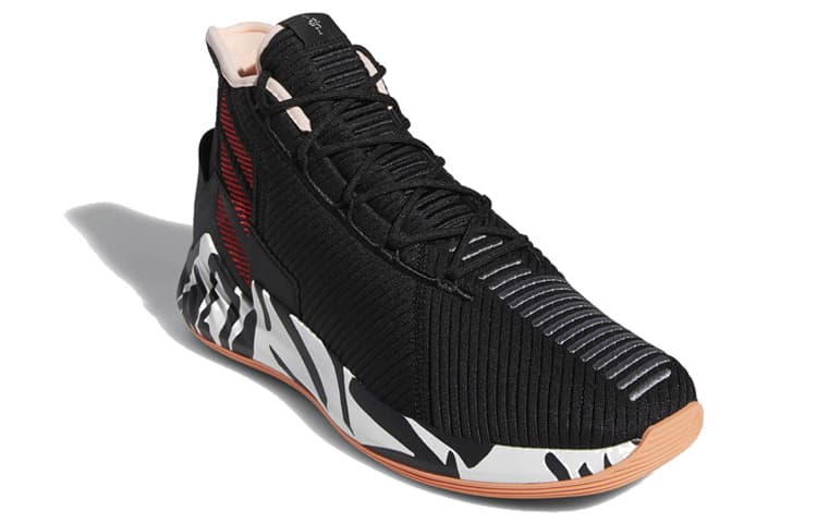 Adidas D Rose 9 'Zebra' 4
