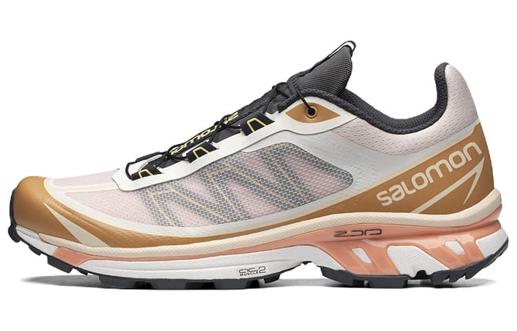 SALOMON XT-6 FT Morganite Fenugreek 2
