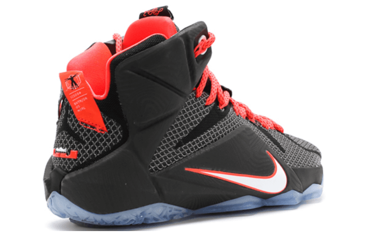 Nike LeBron 12 Court Vision 6