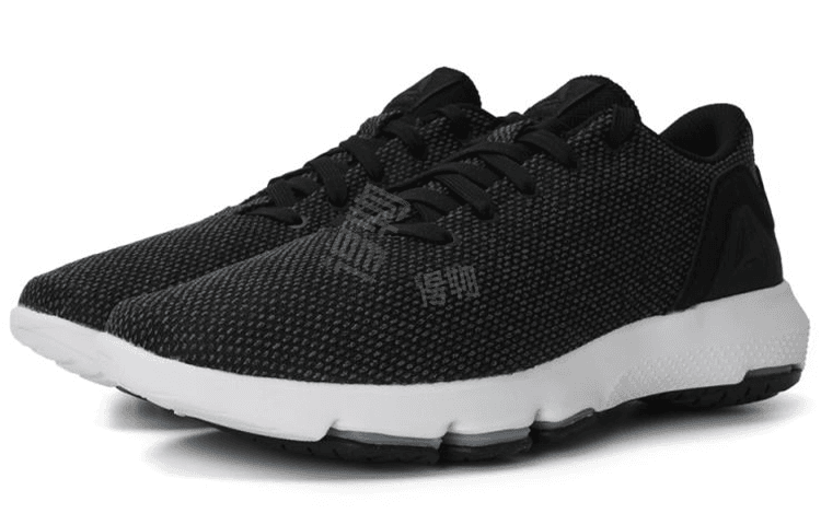 Cloudride Dmx Reebok 3.0 'Black' 5