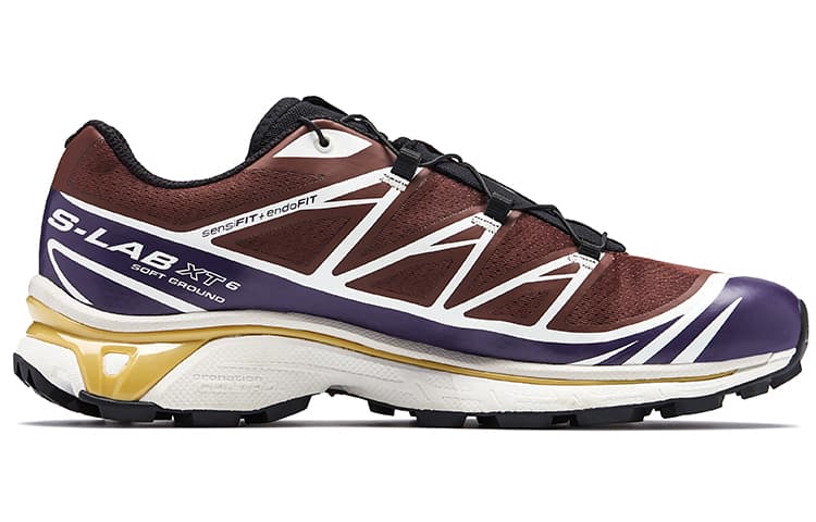 SALOMON XT 6 'Brown Burgundy' 4