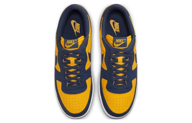 Nike Terminator Low Michigan 6