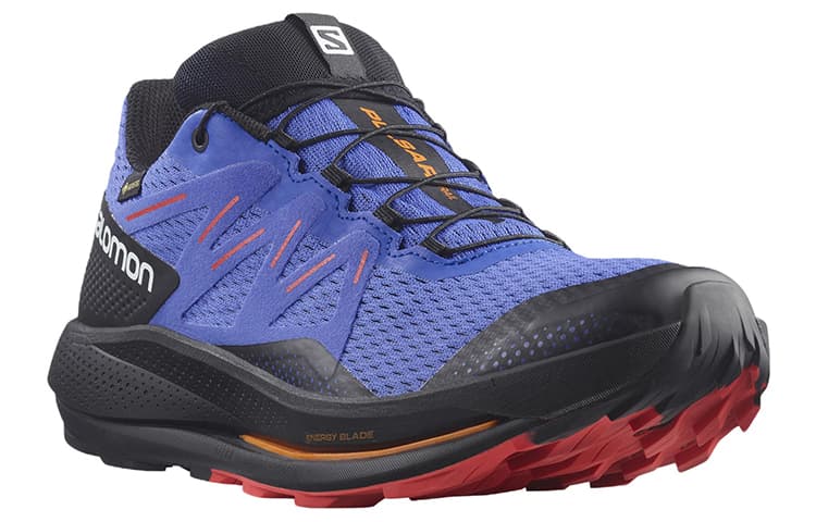 SALOMON Pulsar Trail Gore Tex 'Blue Black' 4
