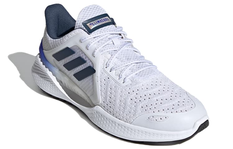 Adidas Climacool Vent 'White Blue Purple' 5