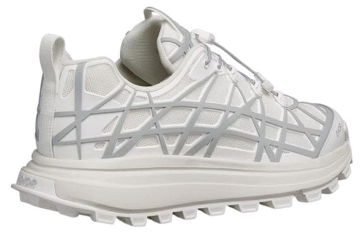 DIOR B31 Runner White Grey 5