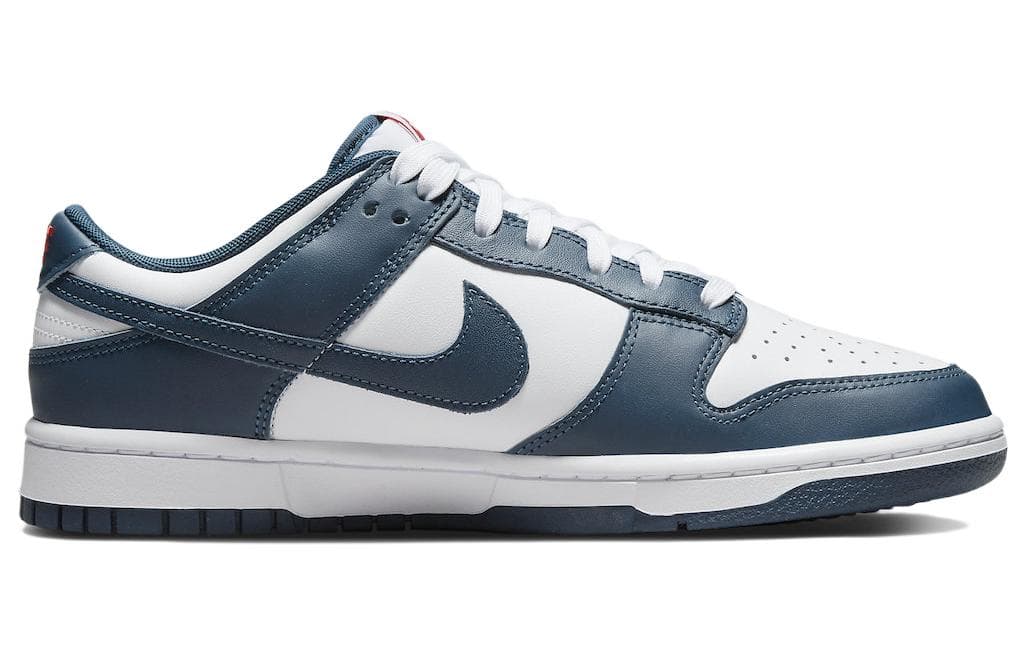 Nike Dunk Low Valerian Blue 4