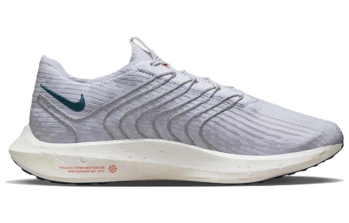 Nike Pegasus Turbo Next Nature Pure Platinum Valerian Blue 3