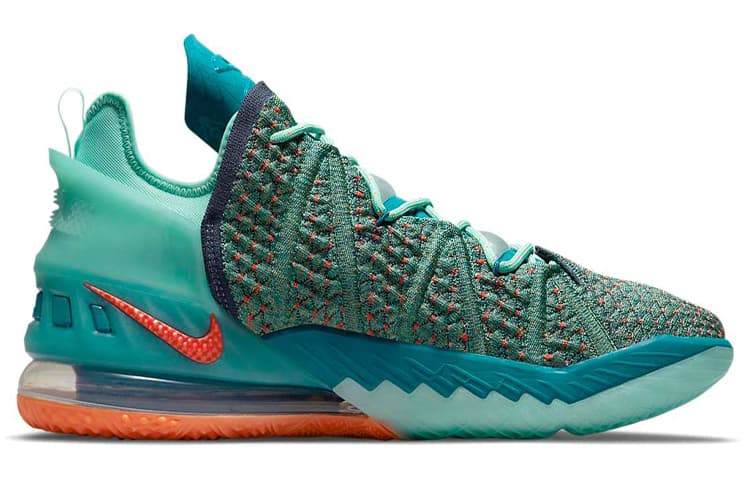 Nike LeBron 18 We Are Family 3