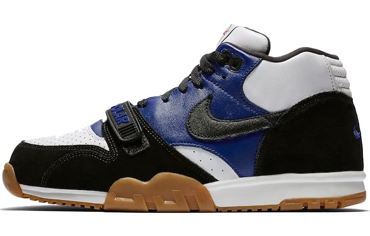 Nike Sb Air Trainer 1 Polar Skate Co