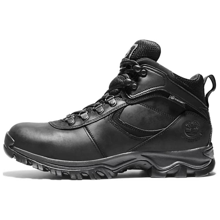 Timberland Maddsen Outdoor Boots Men Black