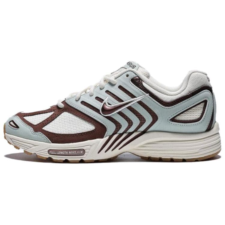 Nike Air Pegasus 2005 SE Comfortable Fashion Wear-Resistant Low-Top Running Shoes Men's Light Blue White