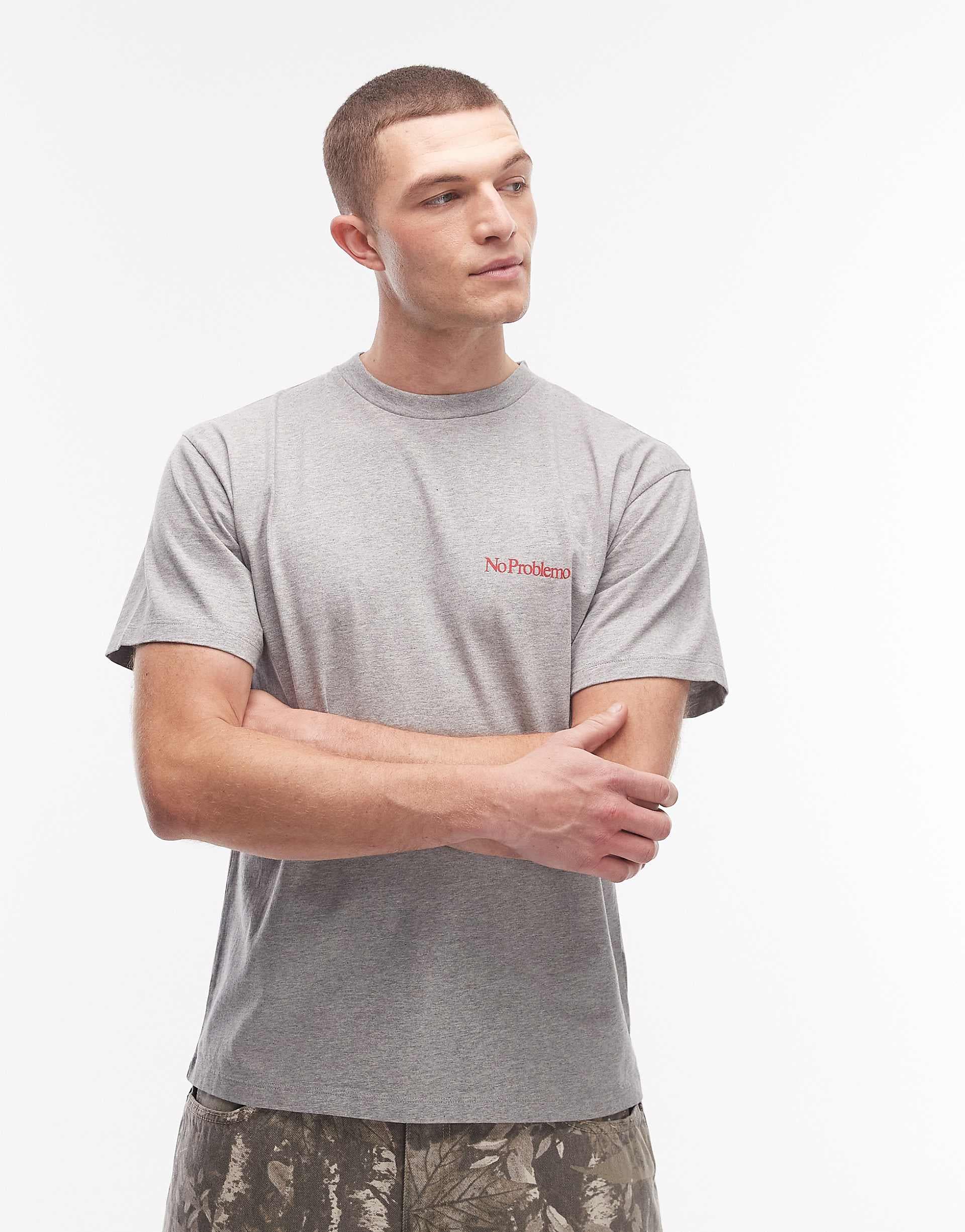 No Problemo 100% cotton t-shirt with mini logo in gray
