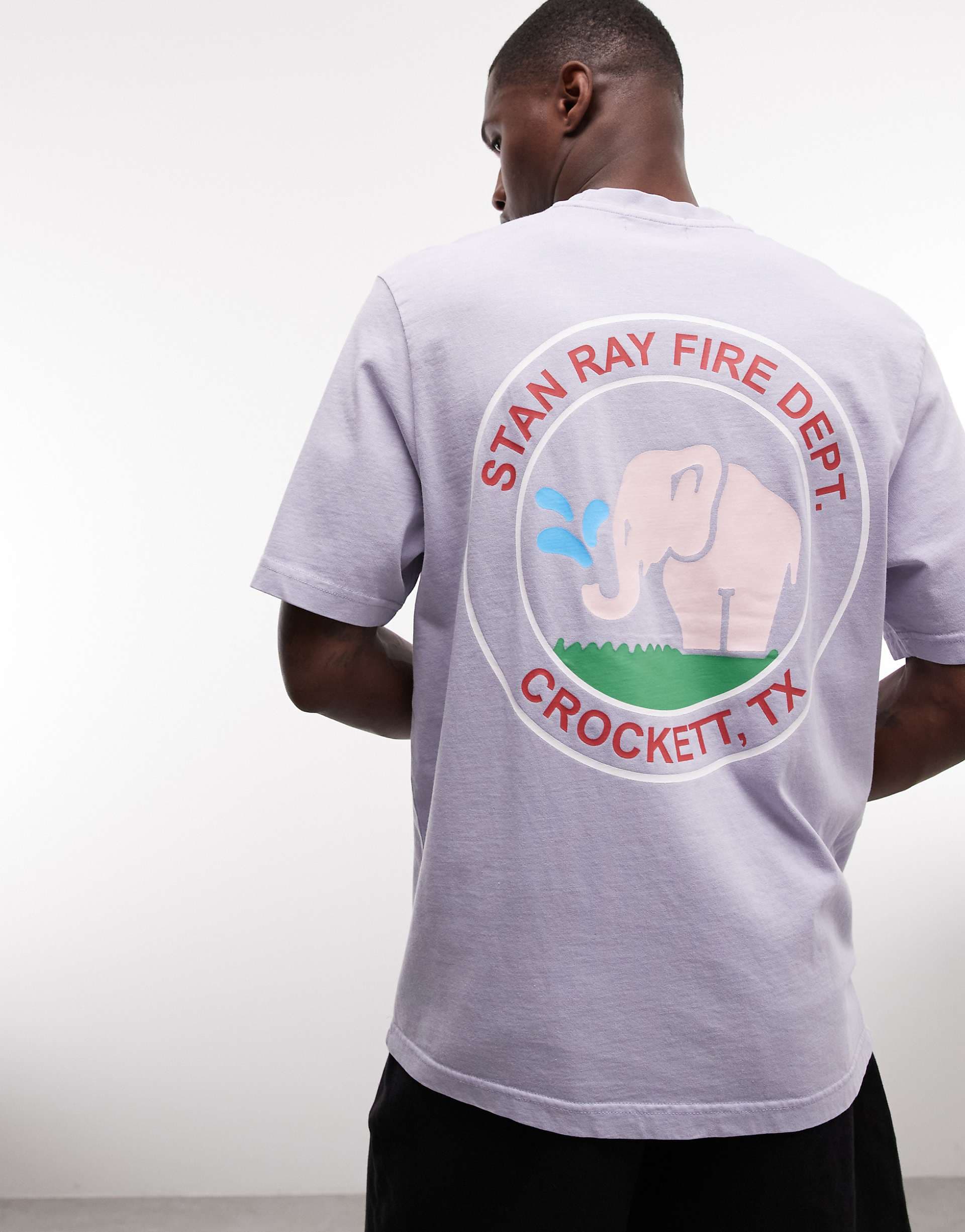 Stan Ray elephant graphic back and chest print short sleeve t-shirt in purple