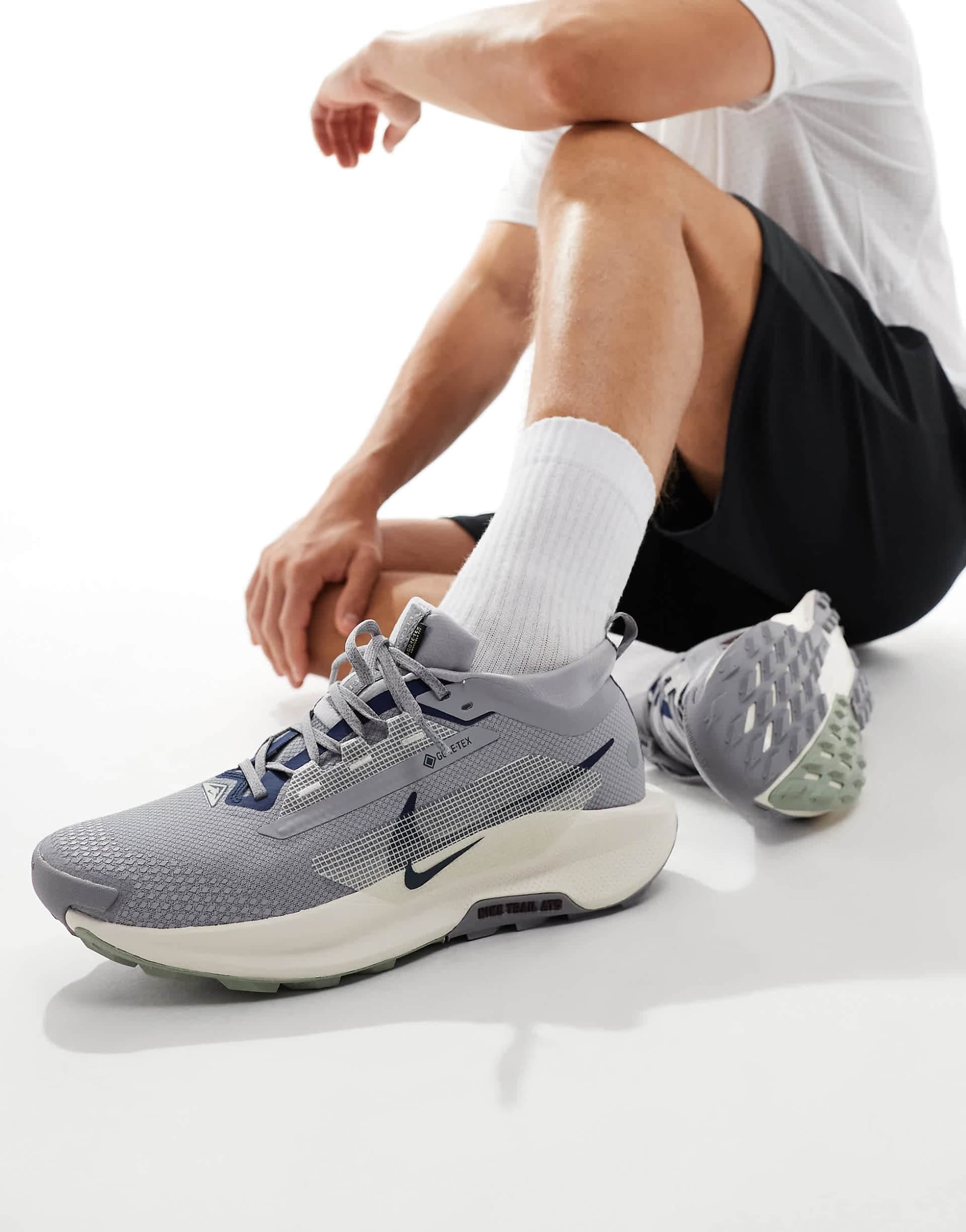 Nike Running Pegasus Trail 5 GORE-TEX sneakers in gray