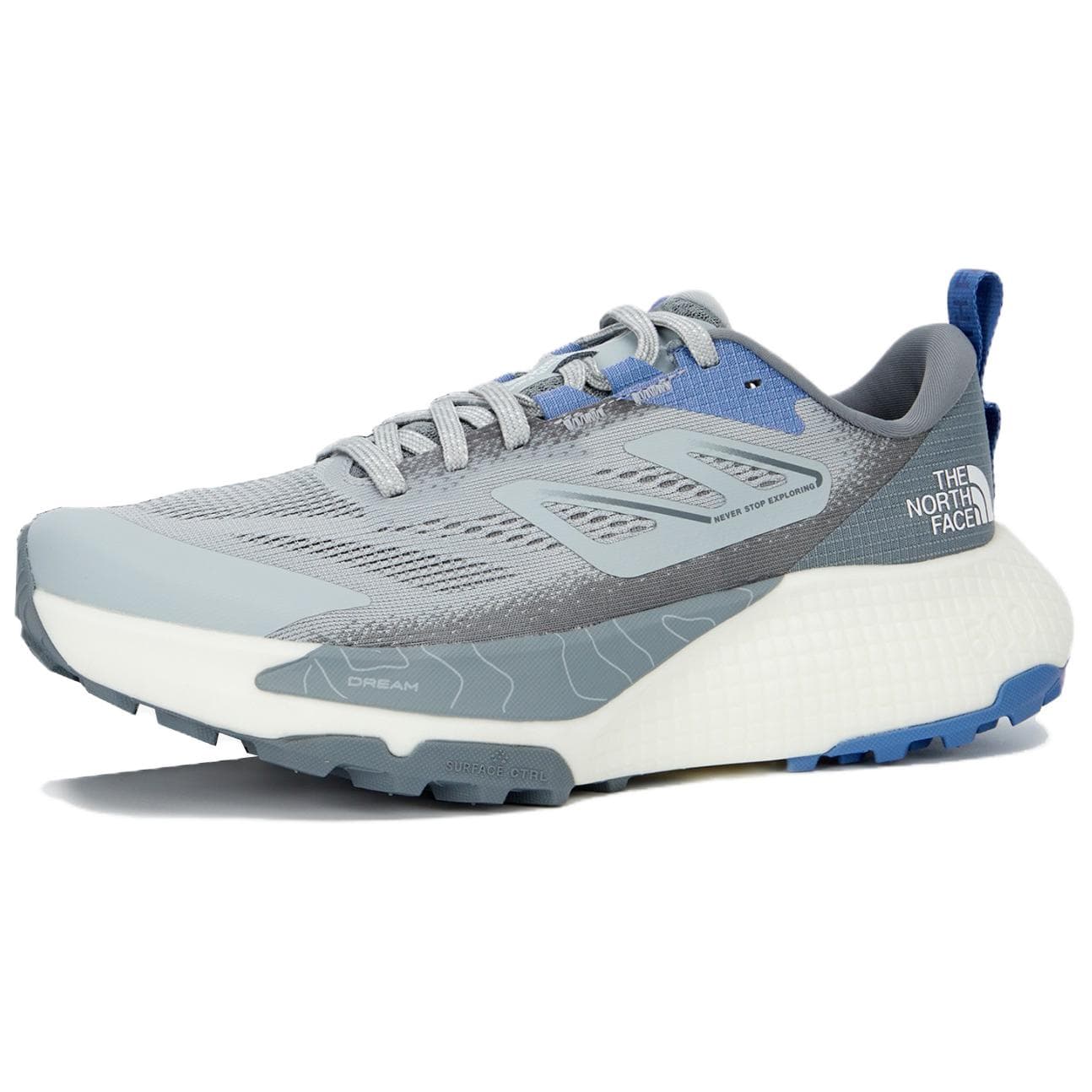 THE NORTH FACE Altamesa 500 Running Shoes Men Low-Top Gray