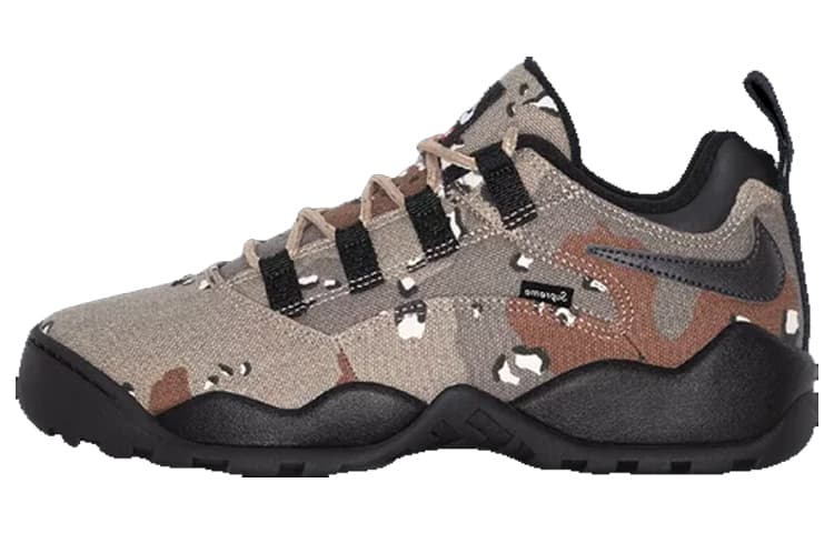 Nike SB Darwin Low Supreme Desert Camo